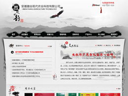 藝創(chuàng)網(wǎng)絡(luò) 打造專業(yè)產(chǎn)品展示類網(wǎng)站，助力企業(yè)營(yíng)銷升級(jí)